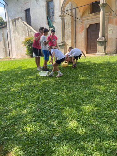 2ff33033-26a7-4adf-bec9-0c0d8ca6ed00