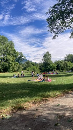 9DA48891-0783-4230-9FF3-182BC6C9C49A