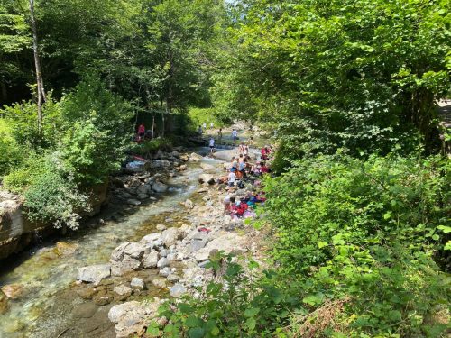 IMG-20250624-WA00351