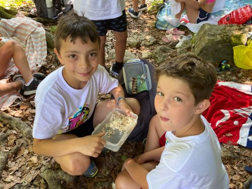 IMG-20250624-WA00451